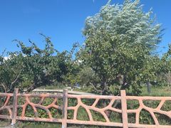 -新疆那拉提国家旅游度假区
