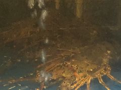 -阿弟仔海鲜