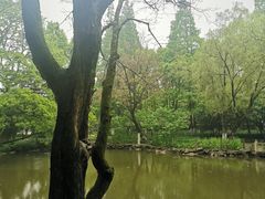 -瀛洲公园