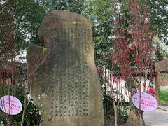 -南汇桃花村