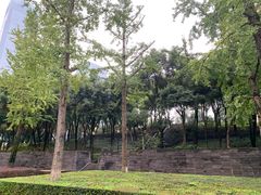 -重庆市江北嘴中央商务区中央公园