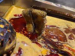 -五厨火锅(长城西一路店)