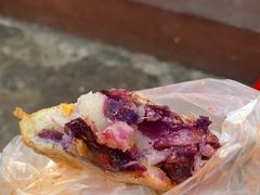 -三亚市第二中学