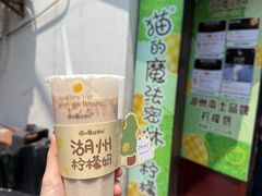 -猫的魔法密林(衣裳街店)