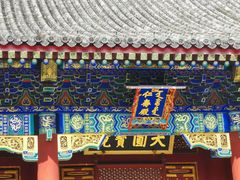 -颐和园