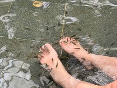 -国信南山温泉