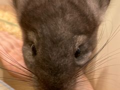 -龙猫仔乐园(惠福东路店)