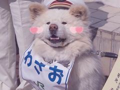 -老徐烧烤涮肚(交道口店)