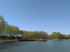 -东郊湿地公园