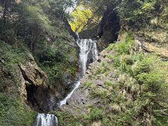 -石台牯牛降景区
