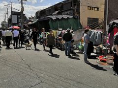 -芦潮港集贸市场