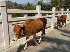 -墨江北回归线标志园
