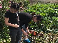 -田园东方蜜桃村的田野营地