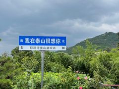 -蘇河湾·新鲁菜·泰山宴(泰山店)