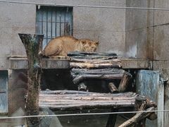 -西安秦岭野生动物园