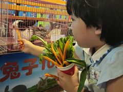 -南昌之星游乐场