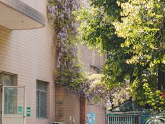-四川大学(望江校区)