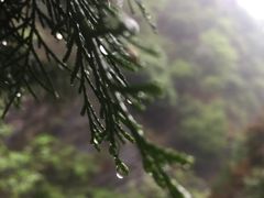 -焦作青龙峡风景名胜区