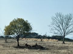 -良渚古城遗址公园