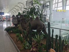 -银川河东国际机场