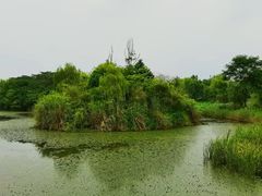 -白鹭湾湿地公园