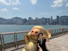 -星光大道