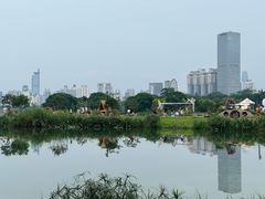-南宁南湖公园