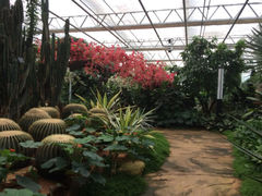 iphone_upload_pic-北京中信金陵酒店