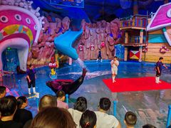 -烟台海昌鲸鲨海洋公园