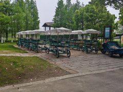-长田漾湿地公园