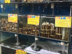 水产区-蚝专家(北滘店)