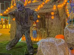 -巨鹏飞梦幻海岸