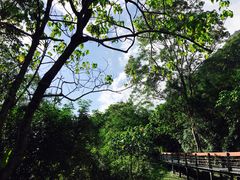 -太鲁阁公园