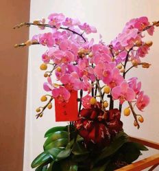-乐绅男士高端假发定制