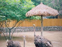 -北京野生动物园