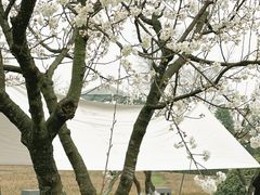 -国际非物质文化遗产博览园