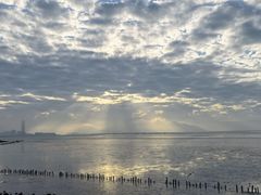 -深圳湾公园(南山区)