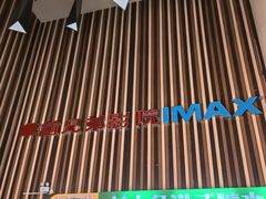 -华谊兄弟影院(IMAX洋桥店)