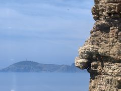 -摩天岭风景区