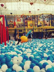 -爱丽丝奇幻乐园