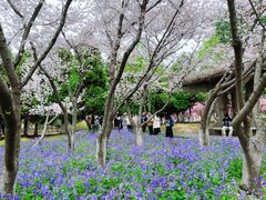 -白塘生态植物园