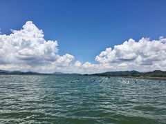 -盐洲岛
