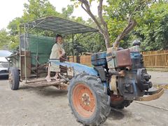 -开平碉楼文化旅游区马降龙景区