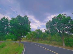 -南京市江宁方山