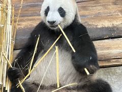 -海南热带野生动植物园