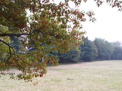 -春兰国宾馆(凤城河风景区老街店)