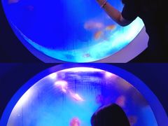 -泉城欧乐堡海洋极地世界