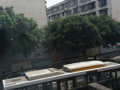-霸王虾·小龙虾香辣蟹(玉林店)