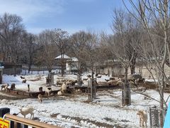 -石家庄市动物园