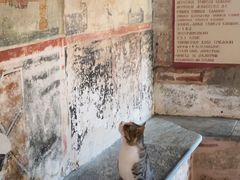 -梅黛奥拉修道院